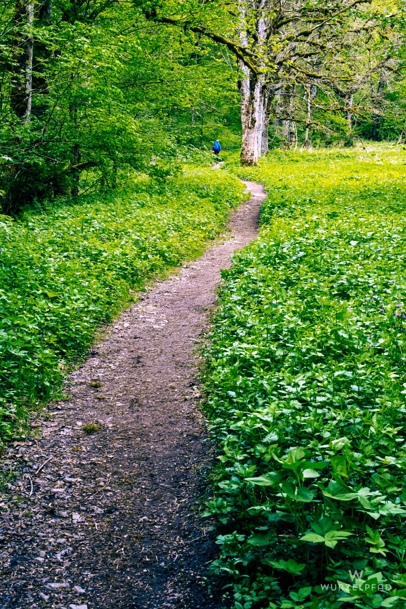 Romantischer Weg durch die Auen
